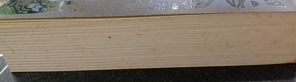 รหัสมรณะแอตแลนติส (The Atlantis Code) (Thomas Lourds #1) (มีตำหนิ โปรดอ่านรายละเอียด)