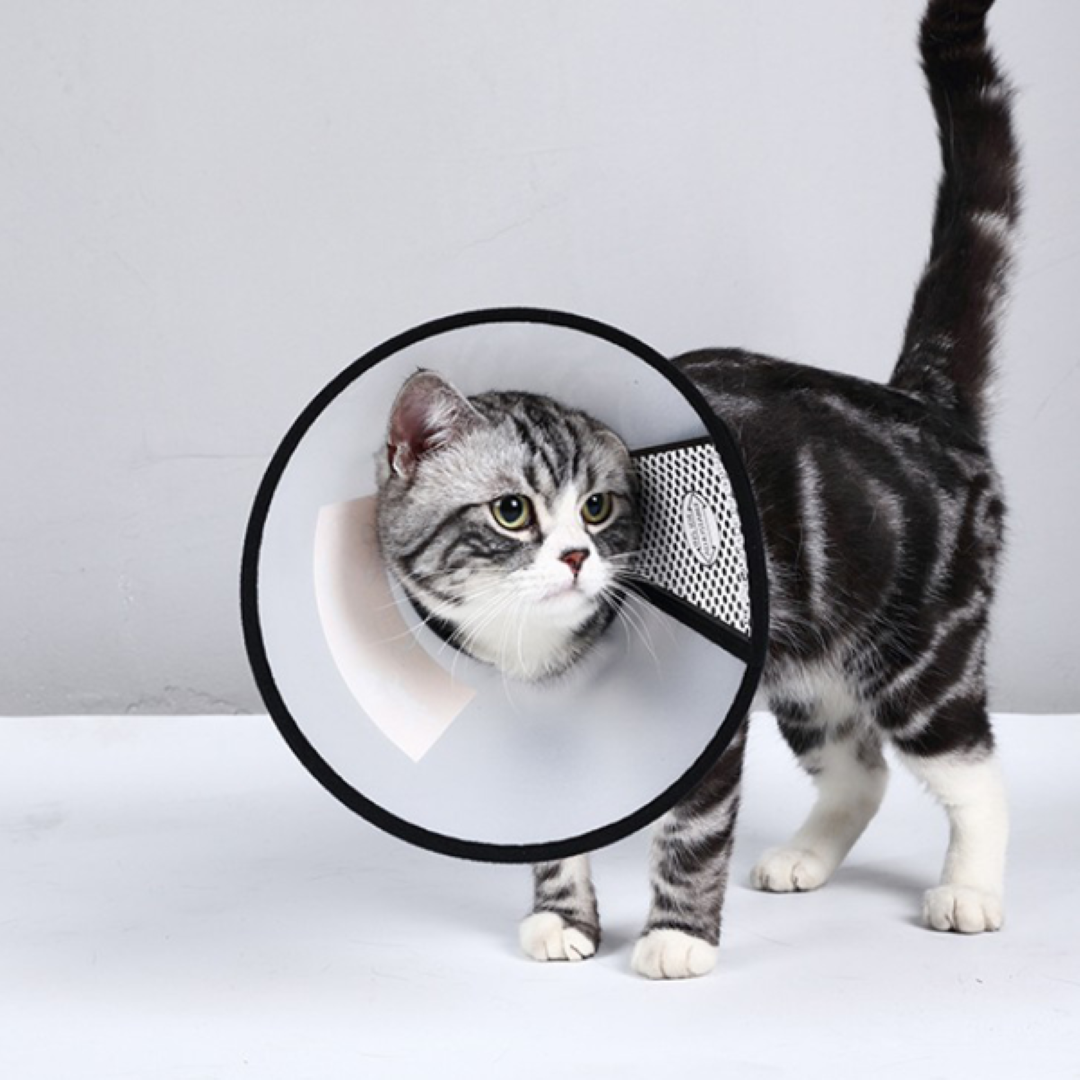 ปลอกคอกันเลีย (Collar) Petsuka สำหรับสุนัขและแมว ขนาด SS