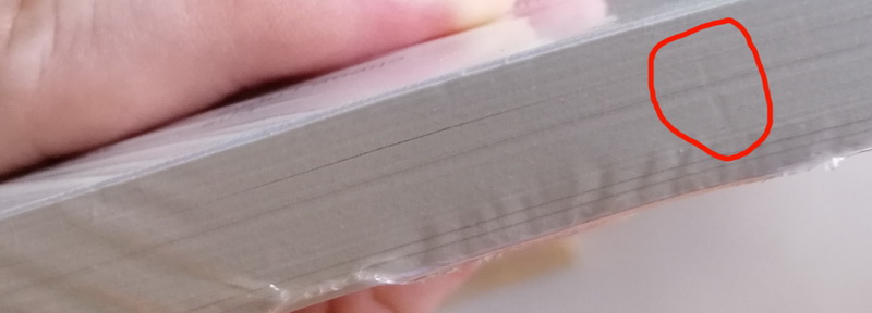 ดัชเชสแห่งถนนบลูมสบรี (มีตำหนิ โปรดอ่านรายละเอียด) (The Duchess of Bloomsbury Street)