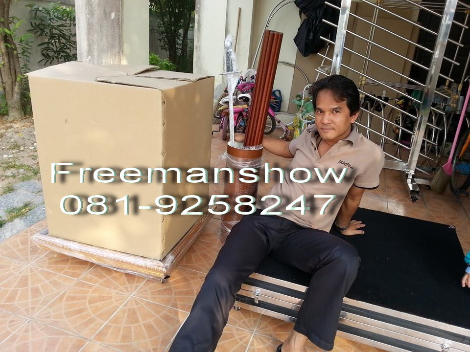 อุปกรณ์มายากลอีลูชั่น มายากล นักมายากล การแสดง โชว์ Magic Show