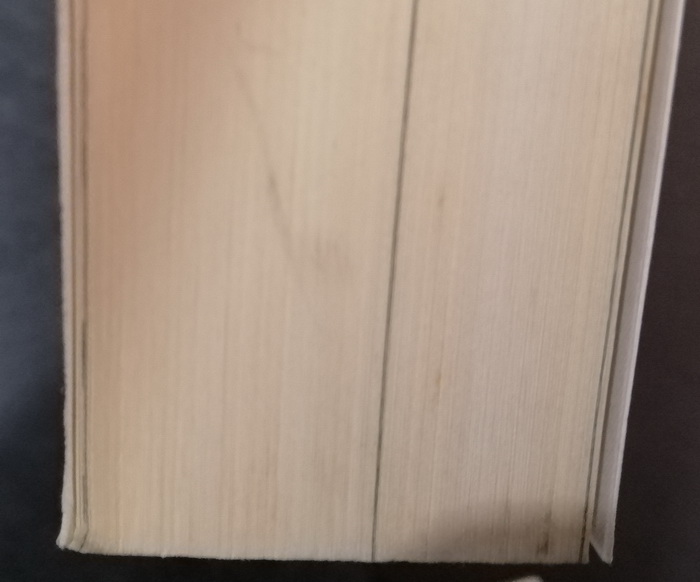 เกมอันตราย สายลับไร้ชื่อ (เล่ม 2) (I Am Pilgrim) (มีตำหนิ โปรดอ่านรายละเอียด)