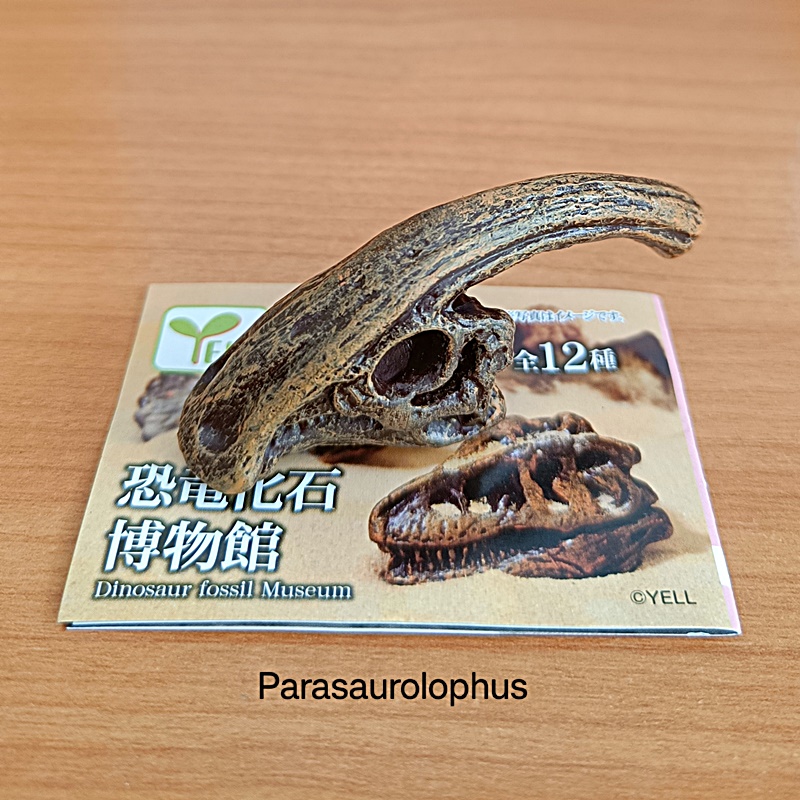 กาชาปองโมเดลซากฟอสซิล Dinosaur Fossil Museum