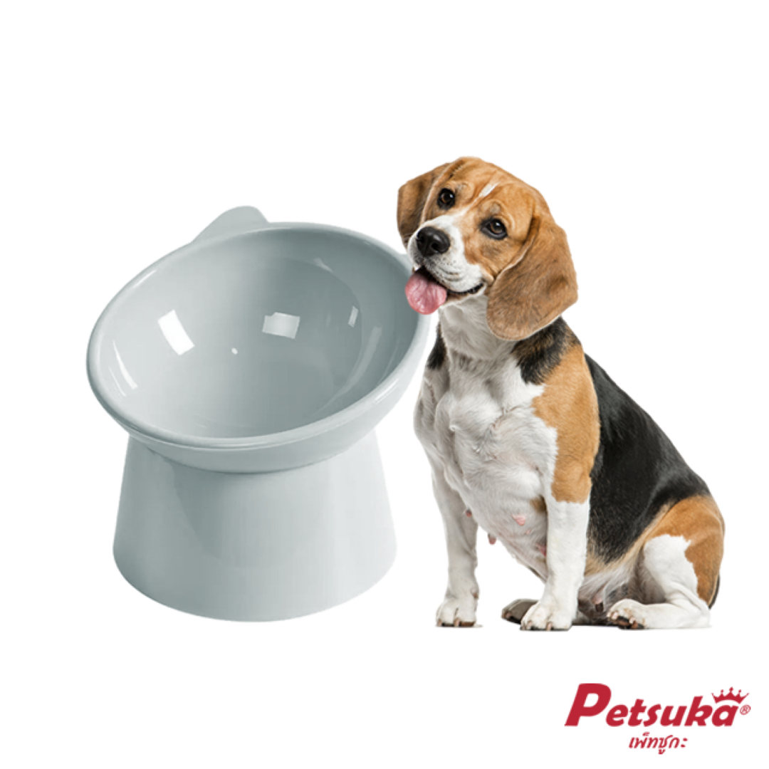 ชามอาหารสัตว์เลี้ยง Petsuka สำหรับสุนัขและแมว ดีไซน์โมเดิร์นรูปแมว สีเทา