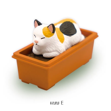 กาชาปองมาสคอทแมว Poka Poka Planter