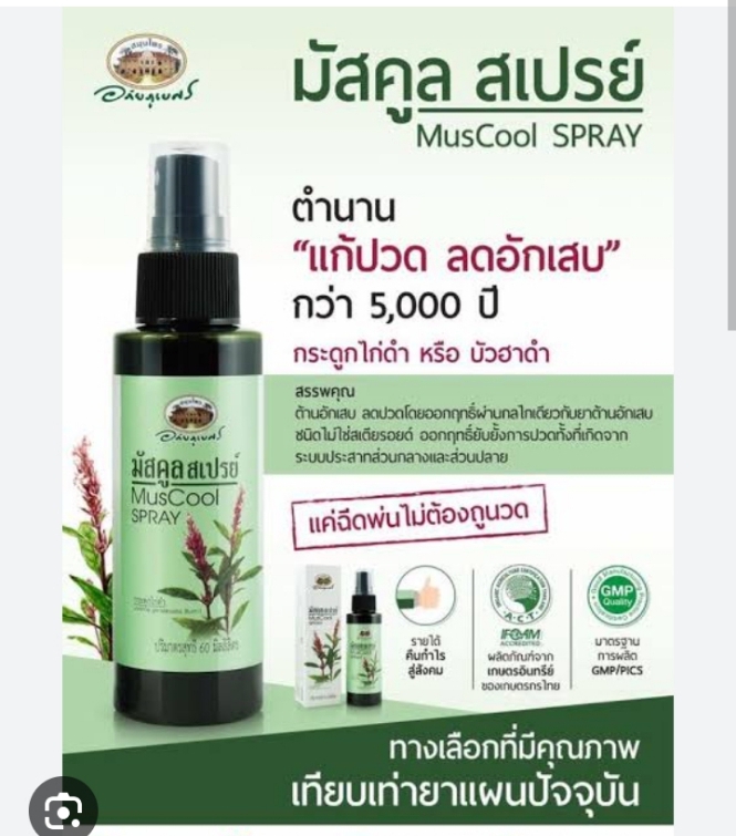 ► มัสคูล สเปรย์ MusCool Spray (สเปรย์กระดูกไก่ดำ) (อภัยภูเบศร) 60 มล. ☺ ช่วยอาการปวดกล้ามเนื้อ และลดบวม ลดอักเสบ - บรรเทาอาการปวดอักเสบของกล้ามเนื้อ - บรรเทาอาการปวดข้อต่างๆ อาการฟกช้ำ ออฟฟิศซินโดรม ใช้ดีมาก ขายดีมาก