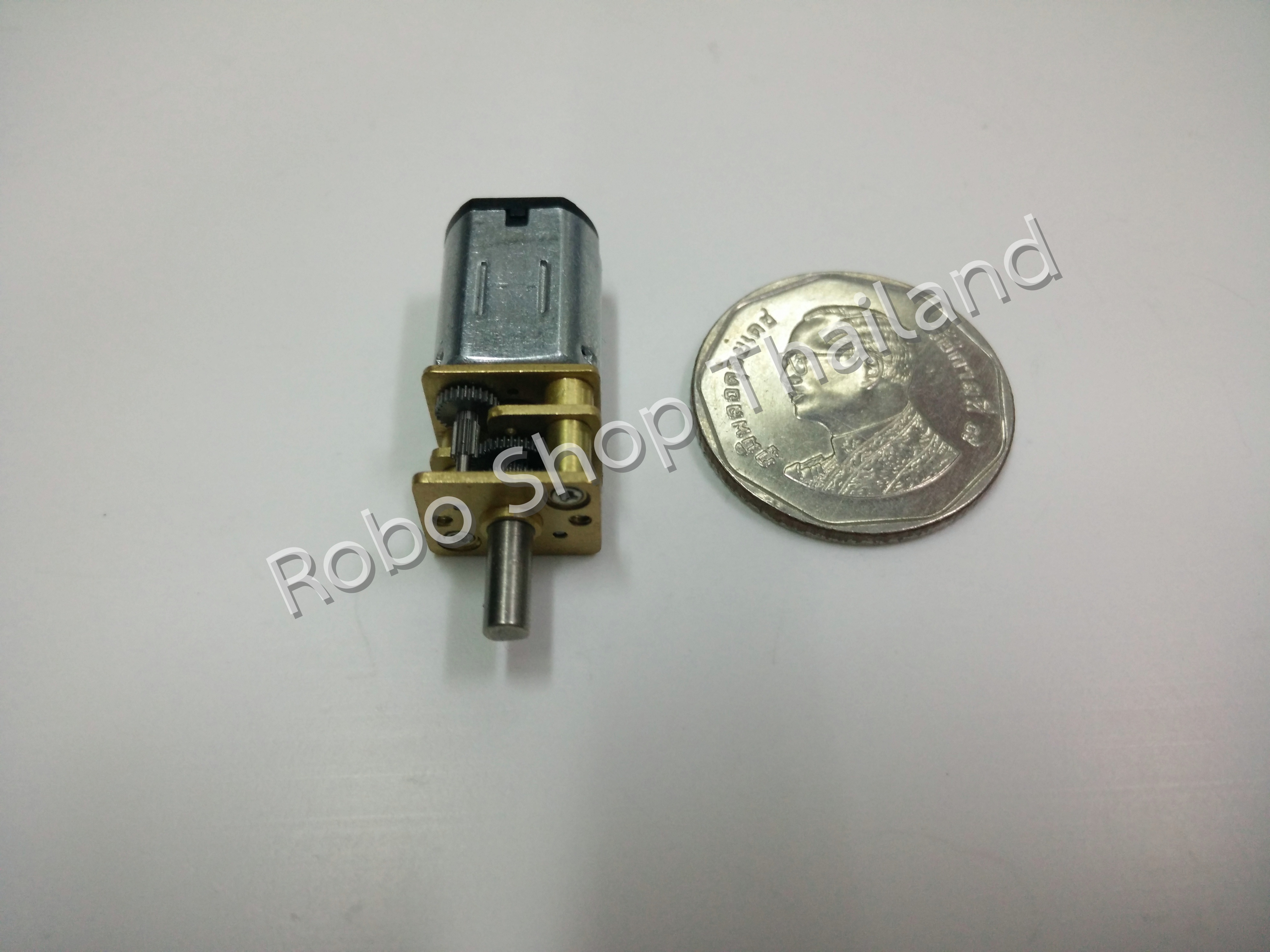 Micro Gear Motor 6V. 60rpm. 100rpm 200rpm. 300rpm. 400rpm. 500rpm 700rpm. 750rpm 1000rpm 1500rpm