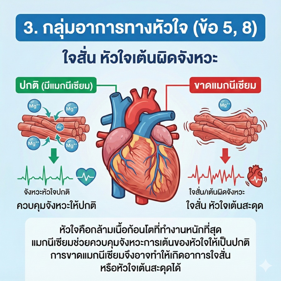 Infographic อาการใจสั่น หัวใจเต้นผิดจังหวะ