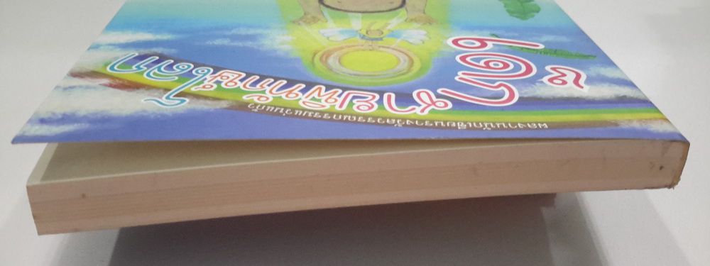 เด็กชายพิทักษ์โลก