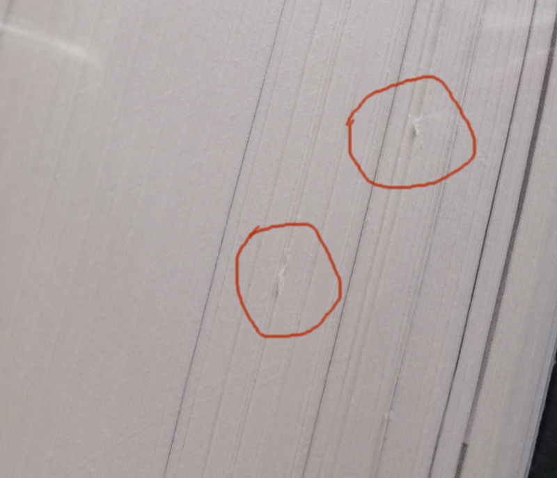 ยุทธการทุ่งวอเตอร์ชิป (ปกแข็ง) (มีตำหนิ โปรดอ่านรายละเอียดก่อนสั่ง) (Watership Down)