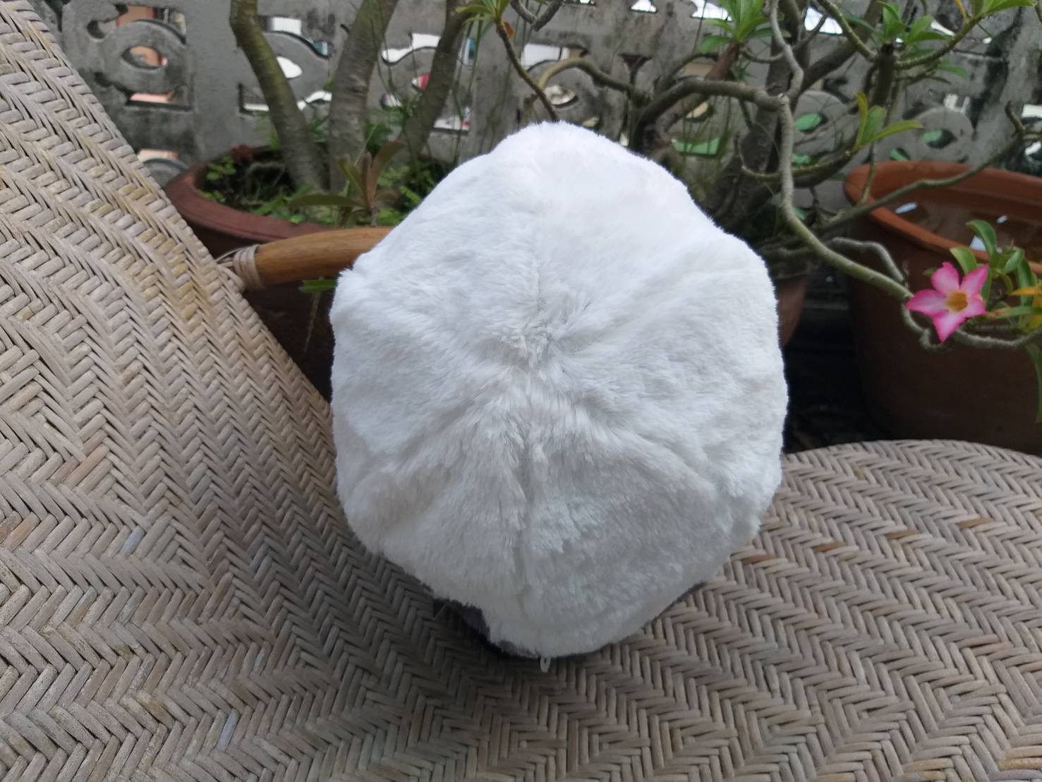 หมวก ONEPEACE ลิขสิทธิ์แท้ หมวกกันหนาว (ของใหม่)