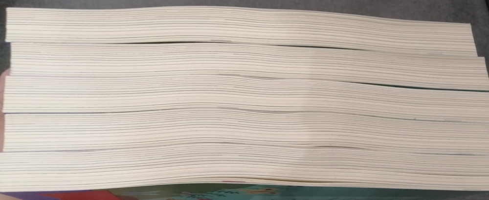 BECOMING A BUTTERFLY การเดินทางของผีเสื้อหลากสี (**มีตำหนิ** โปรดอ่านรายละเอียด **สำคัญมาก**)