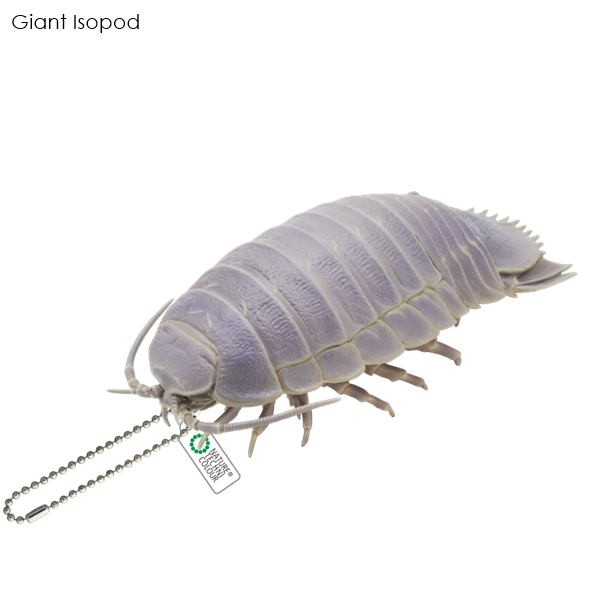 กาชาปอง NTC Deep Sea Creatures Magnet & Ball Chain 2