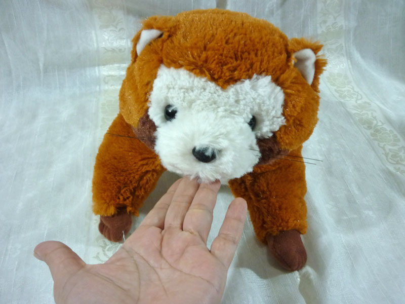 ตุ๊กตา Rascal ของใหม่ลิขสิทธิ์แท้ ตัวนิ่มน่ากอดมาก
