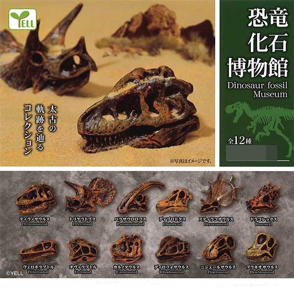กาชาปองโมเดลซากฟอสซิล Dinosaur Fossil Museum