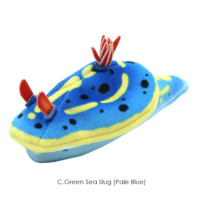 กาชาปองตุ๊กตาทากทะเล Sea Slug Plush Toy 2