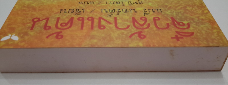 จิ๋วล้างแค้น (The Borrowers Avenged) (The Borrowers #5)