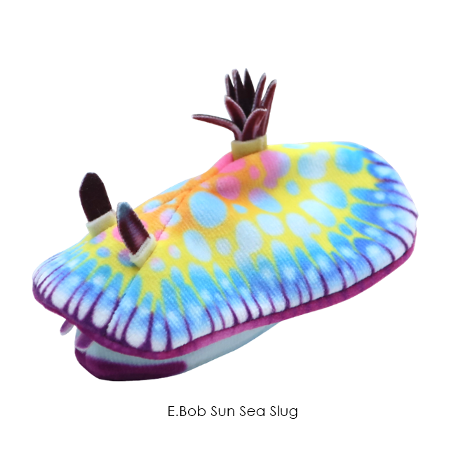 กาชาปองตุ๊กตาทากทะเล Sea Slug Plush Toy 2