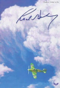 บินเดี่ยว (Going Solo)
