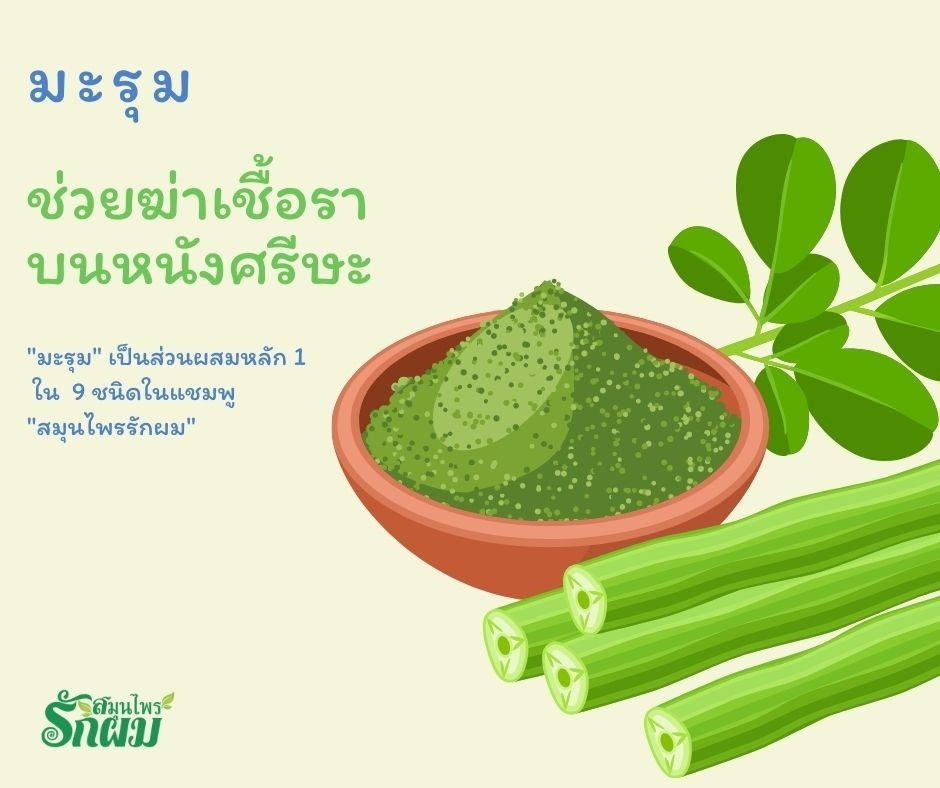 แชมพูสมุนไพรรักผม 250ml x 12 ขวด ยาสระผมแก้รังแคเชื้อรา แก้ผมร่วง แก้ปัญหาผมมัน ผมคัน ชะลอผมหงอก ช่วยให้ผมเกิดใหม่ ไม่ต้องใช้ครีมนวดผม อุดมด้วยสมุนไพรธรรมชาติถึง 9 ชนิด ใช้ได้ทุกวัย สระได้ทุกวัน ปราศจากสารเคมีที่เป็นอันตราย