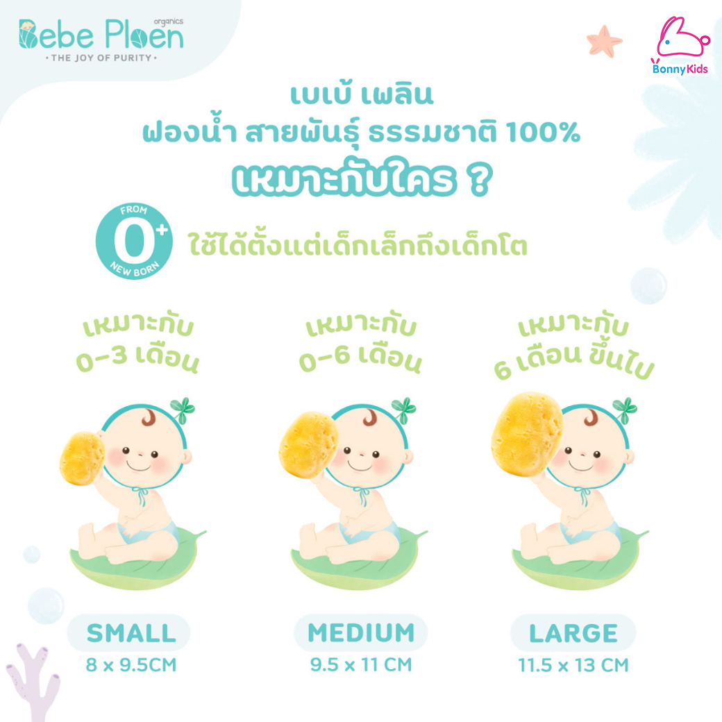 Bebe Ploen (เบเบ้เพลิน) Natural Silky Smooth Sea Sponge ฟองน้ำสายพันธุ์ธรรมชาติ 100% (มี 3 ขนาด)
