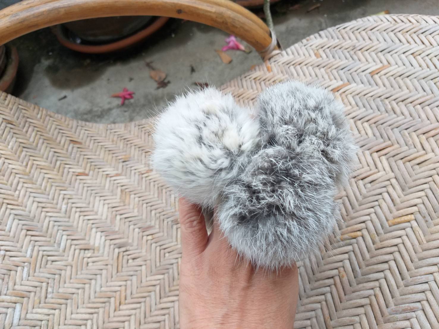 ยางรัดผม ขนกระต่ายแท้ นุ่มมากกก พวงใหญ่ๆ