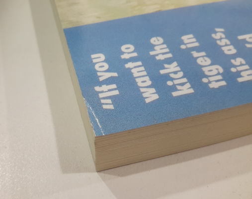 คมเขี้ยวพยัคฆ์ (The Teeth of the Tiger) (Jack Ryan Universe #12) (มีตำหนิ โปรดอ่านรายละเอียด)