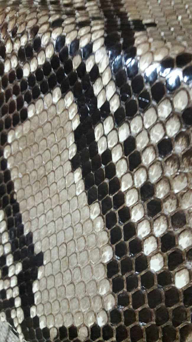 กระเป๋าสตางค์ Genuine Python หลามหนัง หนังแท้ทั้งใบ