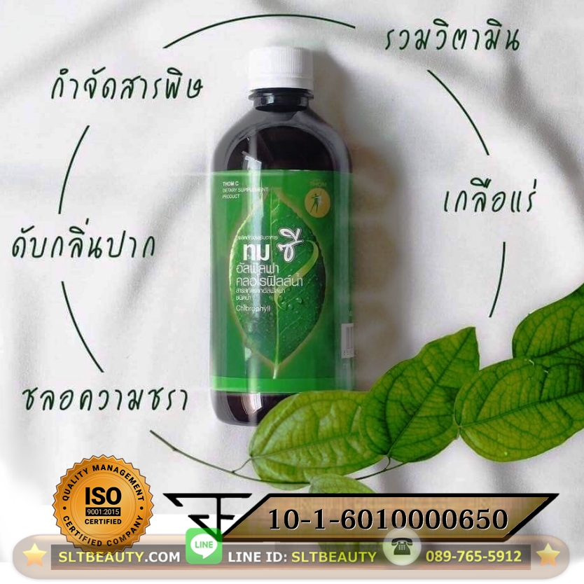คลอโรฟิลล์น้ำ อัลฟัลฟ่า Alfalfa Chlorophyll Drink (ทมซี Thom C) ขนาด 30 มล. ► สกัดจากอัลฟัลฟ่าล้วนๆ มีกลิ่นหอม และรสหวาน ดื่มง่าย ดื่มแทนน้ำได้ วัตถุดิบนำเข้าจากอเมริกา เป็นทางเลือกของสารอาหารที่ครบถ้วน คลอโรฟิลล์ สร้างเม็ดเลือดที่สมบูรณ์แข็งแรง
