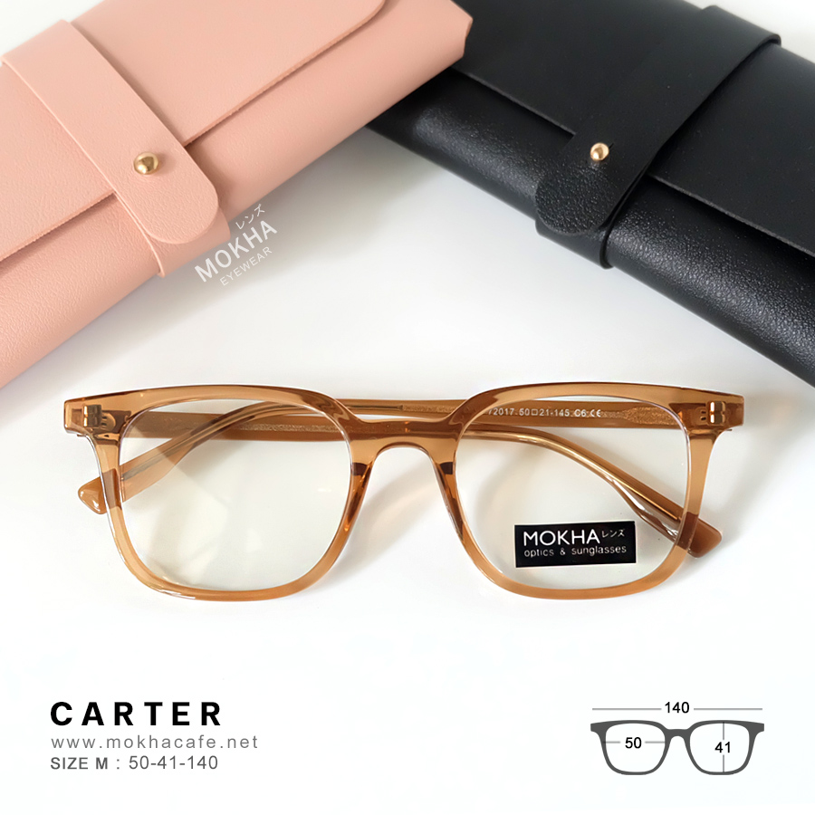 CARTER - clear brown กรอบแว่นตา ทรงเหลี่ยม แกนขาโลหะ กว้าง 140 มม. (sizeM) H41