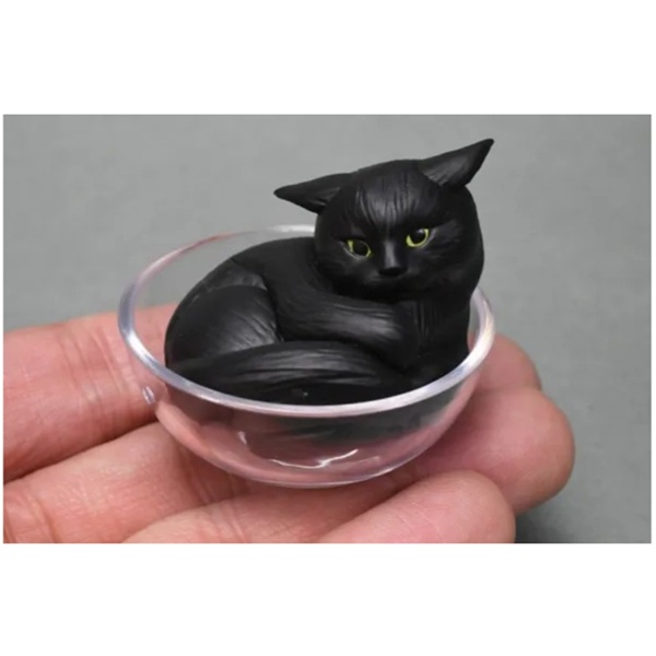 กาชาปองน้องแมว Cat is Liquid