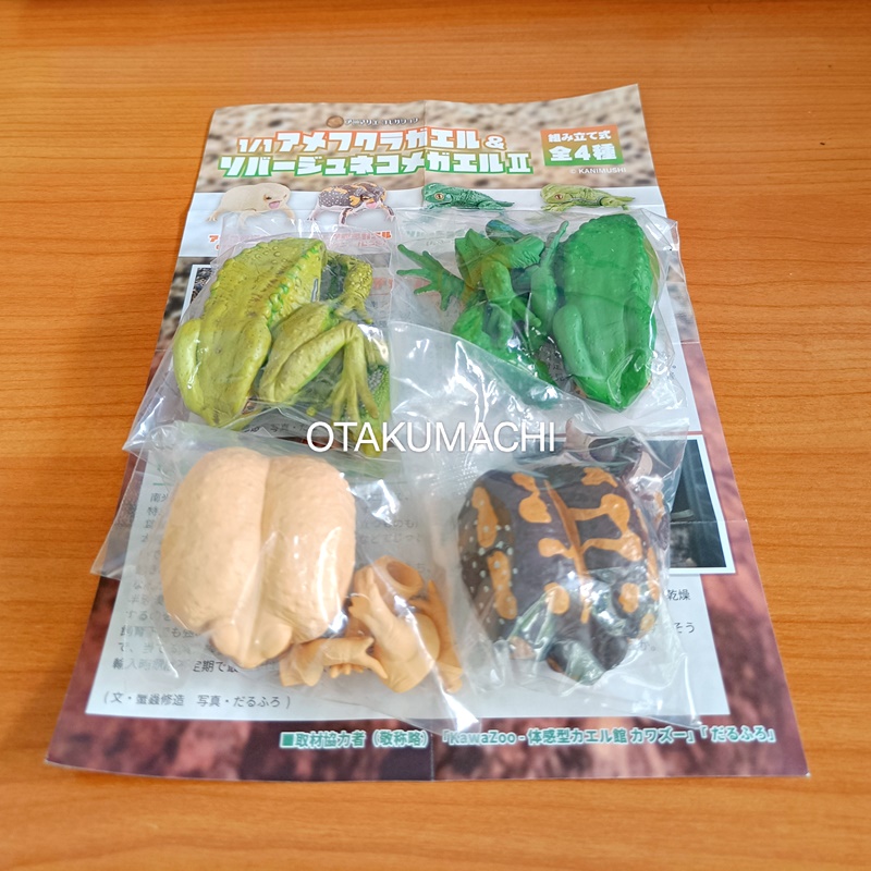 กาชาปองฟิกเกอร์กบ สเกล 1/1 Common Rain Frog & Waxy Monkey Tree Frog 2