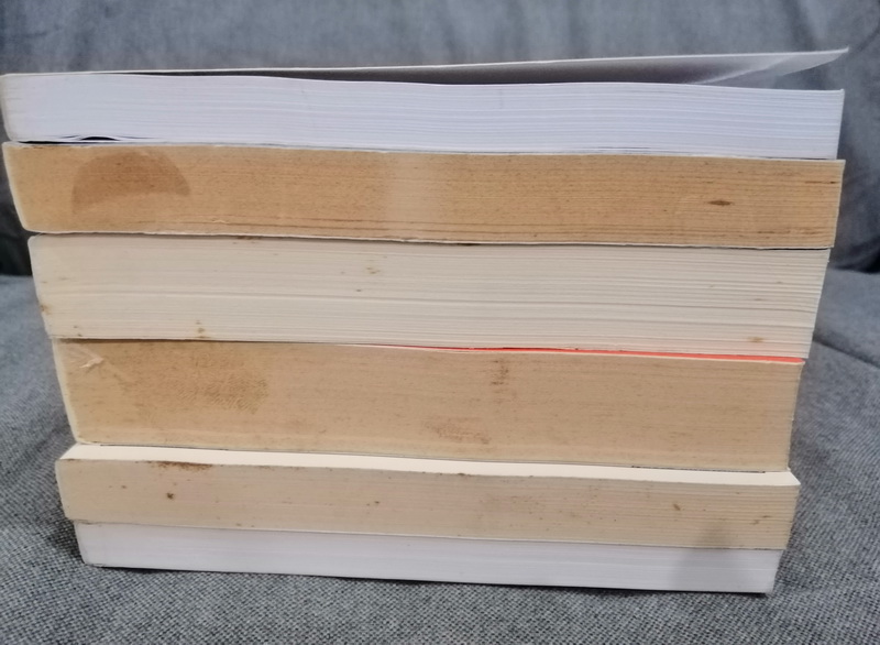 ชุดพันหนึ่งราตรี (The Thousand Nights and One Night)