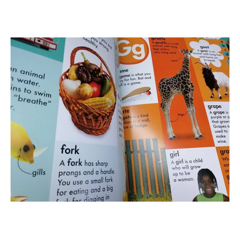 First Dictionary : ดิกชันนารีเล่มแรก สำหรับเด็ก ภาพจริง สีสวย คมชัด : Promotes early referencing skills by Make Believe Ideas