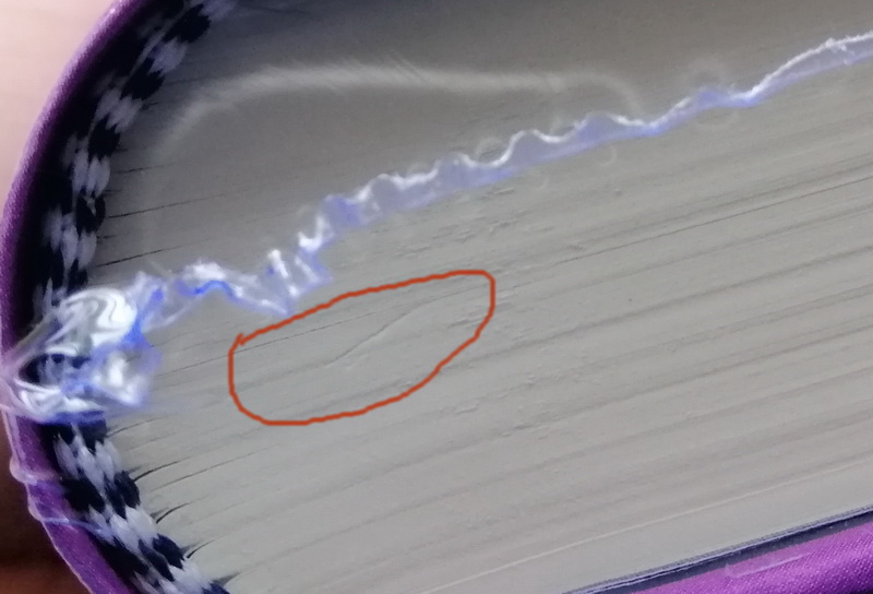 ปราสาท (ปกแข็ง) (มีตำหนิ โปรดอ่านรายละเอียดก่อนสั่งทุกครั้ง) (The Castle) (Franz Kafka)