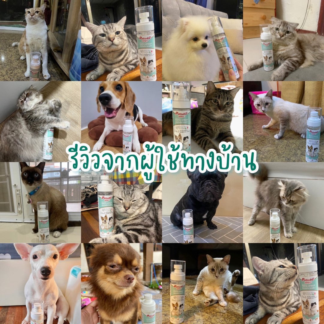 สเปรย์อาบแห้งสุนัขและแมวเพ็ทซูกะ 3in1 (พรีเมี่ยม) Silver Nano แบบไม่ต้องล้างน้ำ ขนาด 150ml