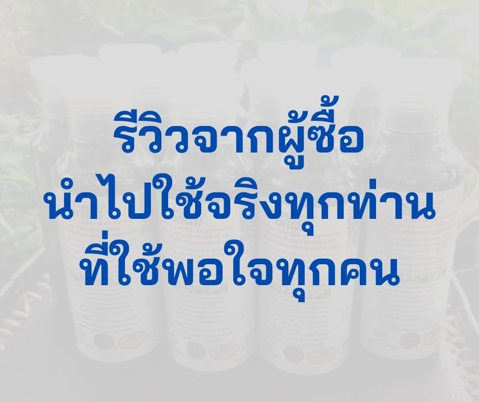แชมพูสมุนไพรรักผม 250ml x 3 ขวด ยาสระผมแก้รังแคเชื้อรา แก้ผมร่วง แก้ปัญหาผมมัน ผมคัน ชะลอผมหงอก ช่วยให้ผมเกิดใหม่ ไม่ต้องใช้ครีมนวดผม อุดมด้วยสมุนไพรธรรมชาติถึง 9 ชนิด ใช้ได้ทุกวัย สระได้ทุกวัน ปราศจากสารเคมีที่เป็นอันตราย