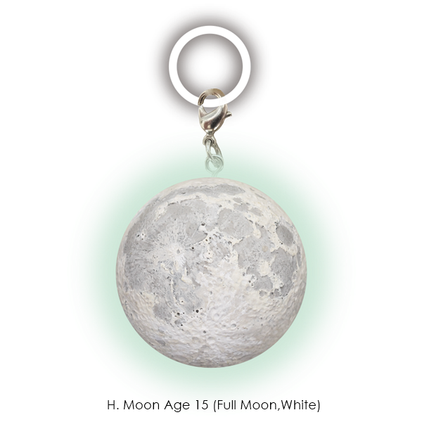 กาชาปองมาสคอทดวงจันทร์ STC Moon Phase Glow-in-the-Dark Sign Mascot