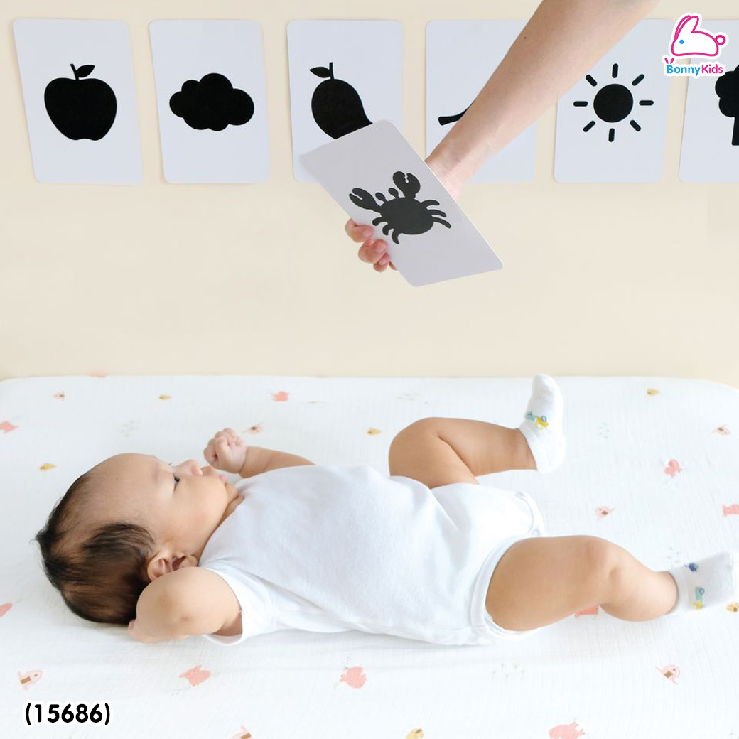(15686) Little Monster (ลิตเติ้ลมอนเตอร์) Newborn Flash Card แฟลชการ์ดขาวดำ 0-6 เดือน กระตุ้นพัฒนาการการมองเห็น