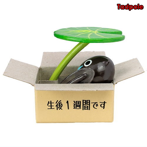 กาชาปองมาสคอทกบ Throw Away Geko