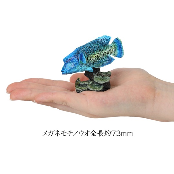 กาชาปองฟิกเกอร์สัตว์ทะเล Mini Collection of the Great Creature Encyclopedia: Coral Reef Creatures