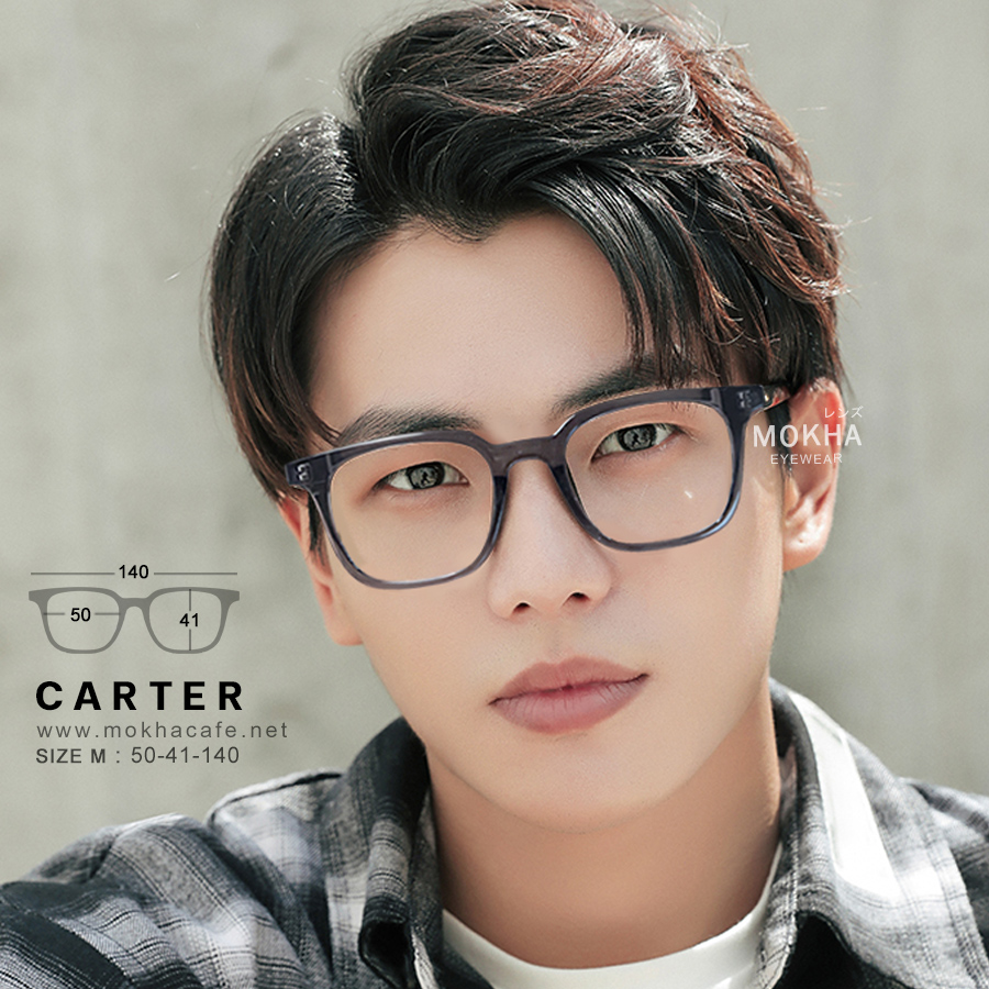 CARTER - clear grey กรอบแว่นตา ทรงเหลี่ยม แกนขาโลหะ กว้าง 140 มม. (sizeM) H41