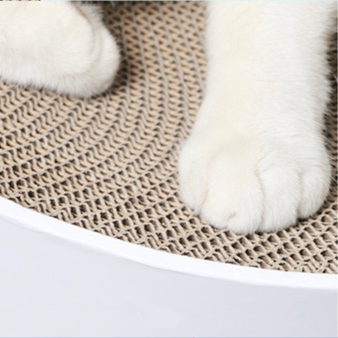 ที่ลับเล็บแมว Petsuka ทรงกลม ลายแมวการ์ตูน สีขาว