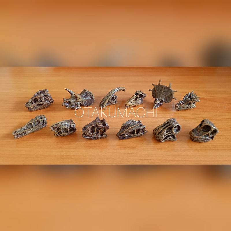 กาชาปองโมเดลซากฟอสซิล Dinosaur Fossil Museum