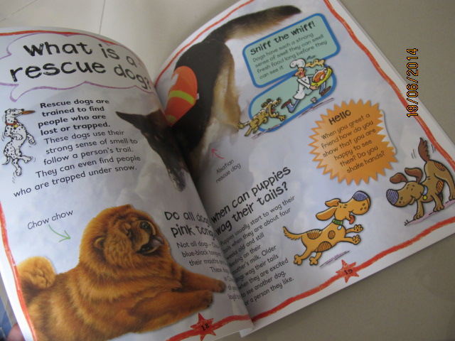 Miles Kelly : First Questions And Answers - Why do puppies chew? หนังสือคำถามแรกและคำตอบ - ทำไมลูกสุนัขชอบกัด