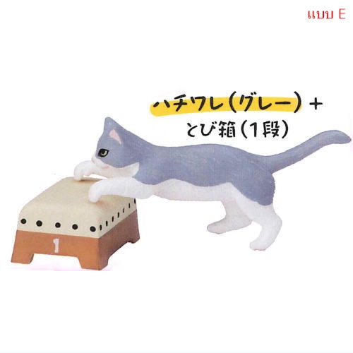 กาชาปองฟิกเกอร์แมวกระโดดข้ามเบาะ Animal Attraction Jumping Box Cat