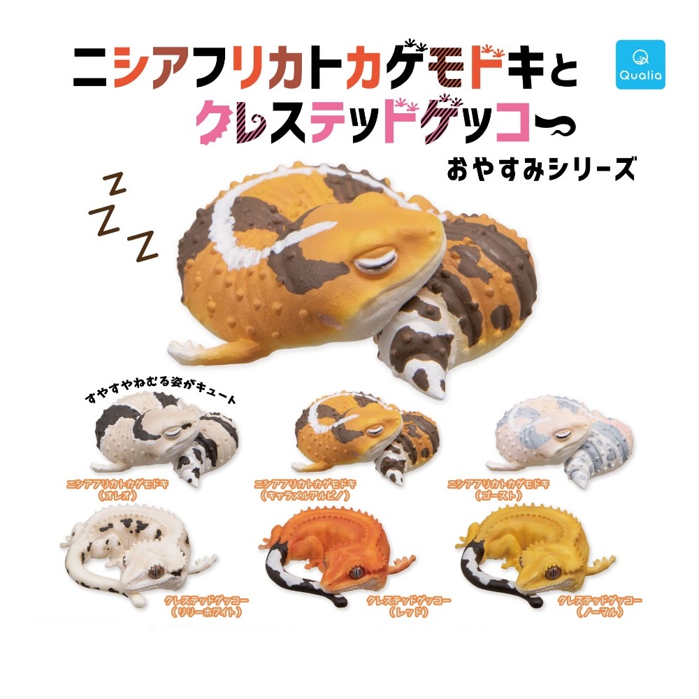 กาชาปองฟิกเกอร์ตุ๊กแก African Ground Gecko and Crested Gecko Sleep Series