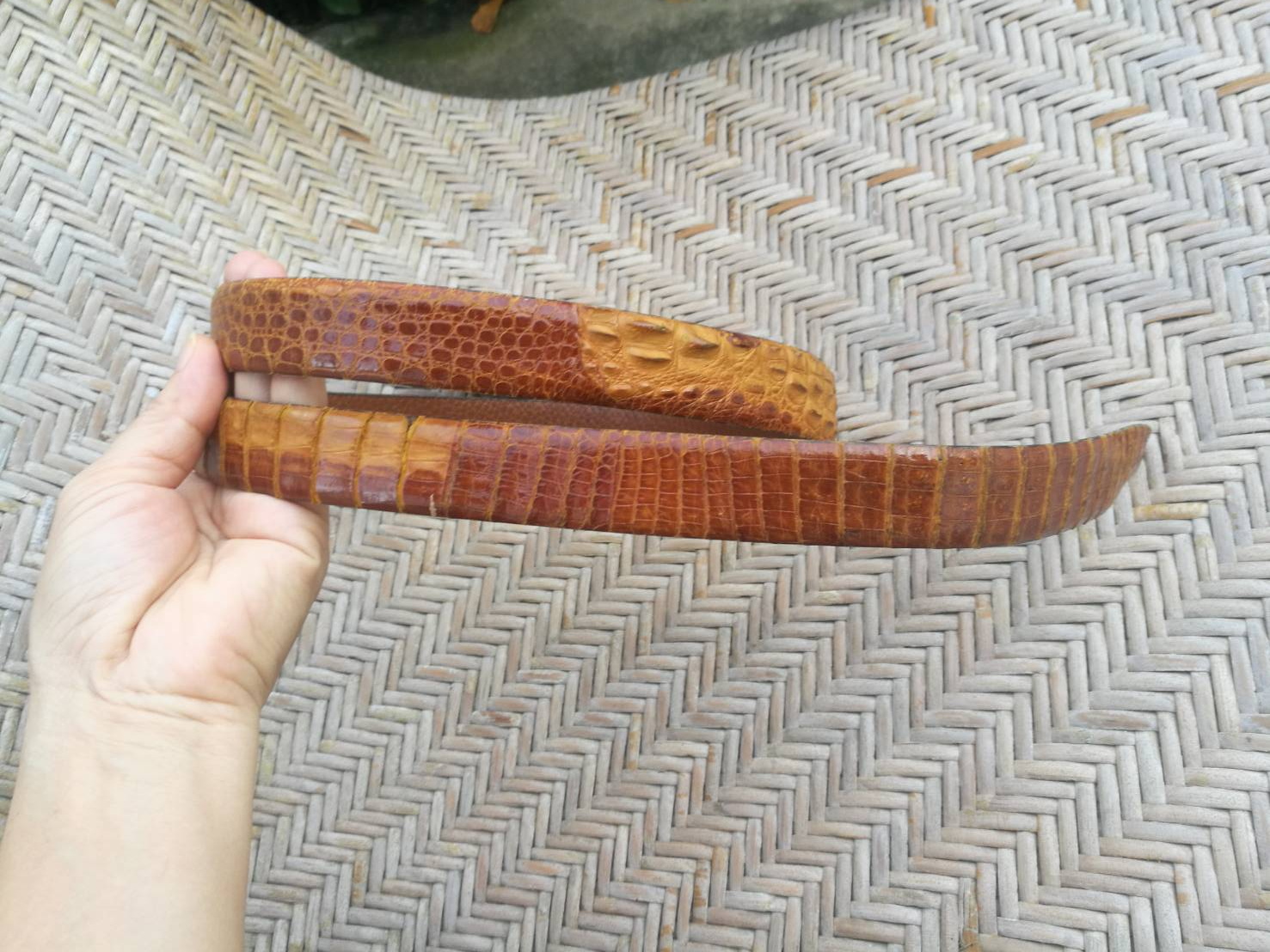 เข็มขัดหนังจรเข้แท้