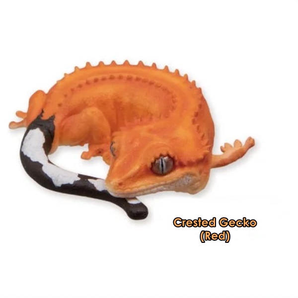 กาชาปองฟิกเกอร์ตุ๊กแก African Ground Gecko and Crested Gecko Sleep Series