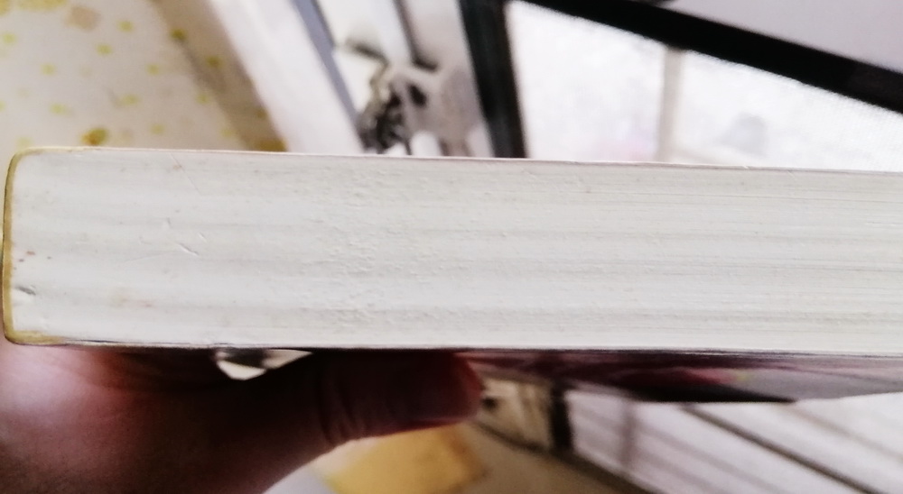 ฮวงจุ้ยบ้านดี ชีวิตนี้มีชัยไปกว่าครึ่ง (มีตำหนิ โปรดอ่านรายละเอียด)