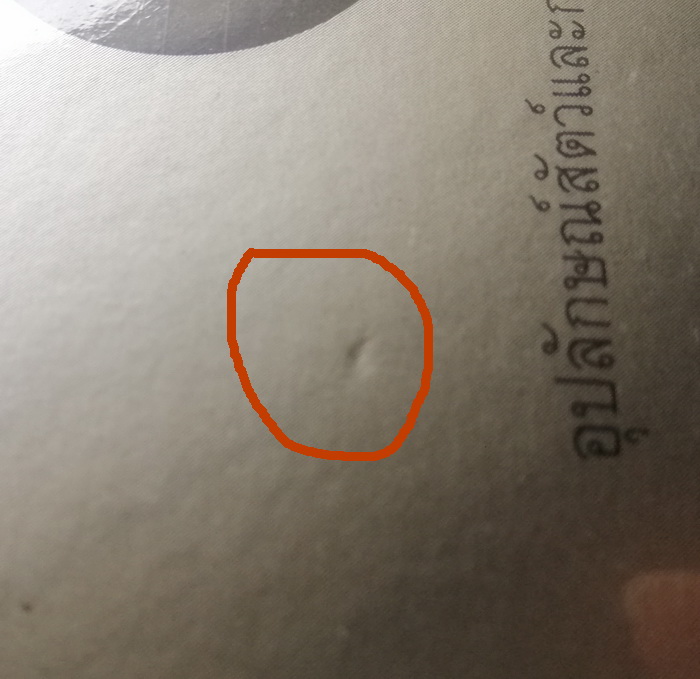 (มีตำหนิ โปรดอ่านรายละเอียด) มัจฉา ปักษี ผีเสื้อ อุปลักษณ์สัตว์และการผดุงชีวิตในปรัชญาของจวงจื่อ (ปกอ่อน) (ศริญญา อรุณขจรศักดิ์)